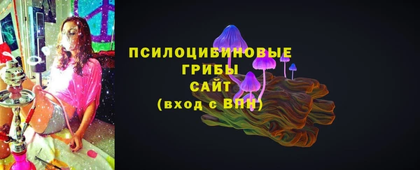 шишки Алексеевка