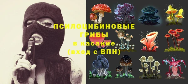 a pvp Алексин